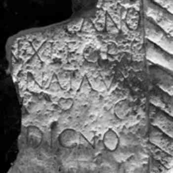 Click para ampliar. Pulsa en el nombre para ver la ficha. Epígrafe de móstoles